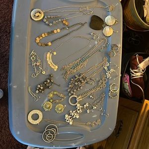 Huge lot of Paparazzi  jewelery.  Necklaces and earrings. Most never worn.